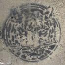 Picture_035