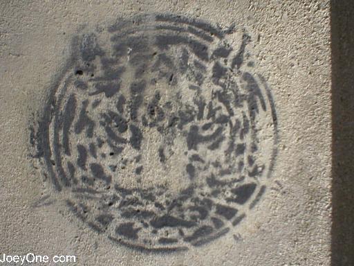 Picture_035